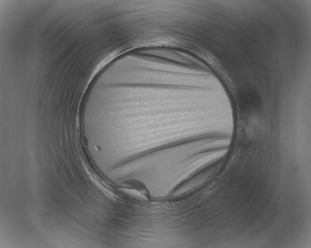 X0000080151234200701051531