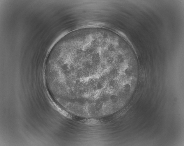 X0000080151235200701051531