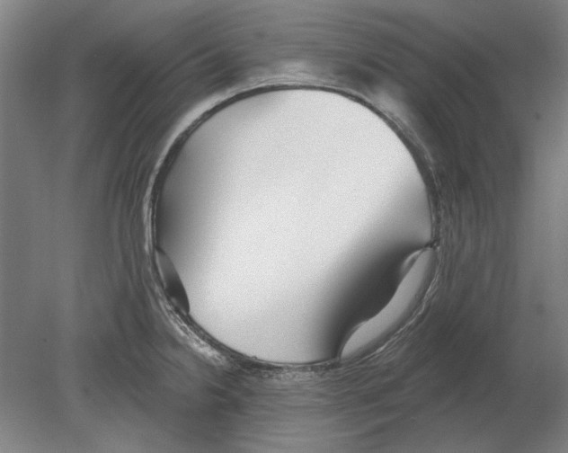 X0000080151238200701051531