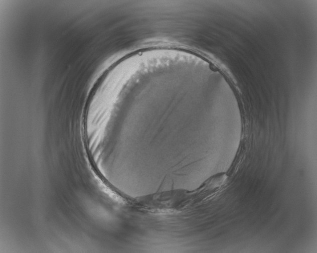 X0000080151239200701051531