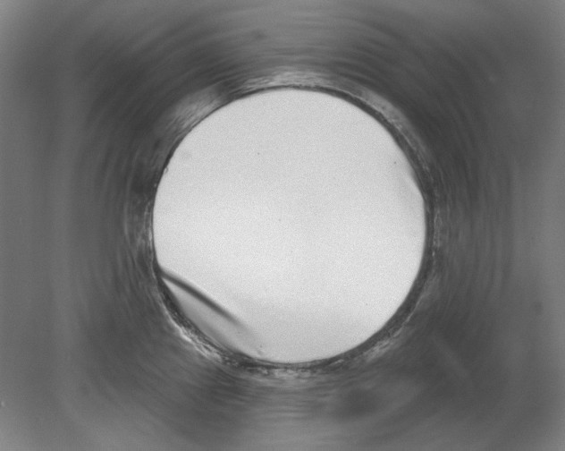 X0000080151241200701051531