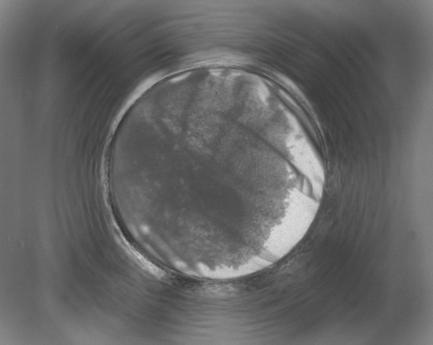 X0000080151243200701051531