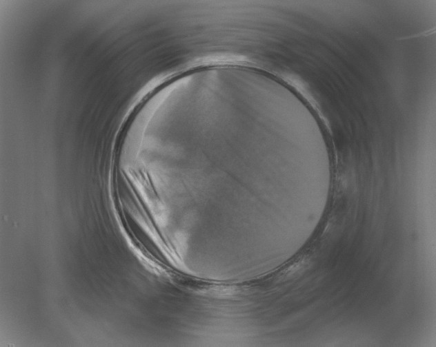 X0000080151245200701051531
