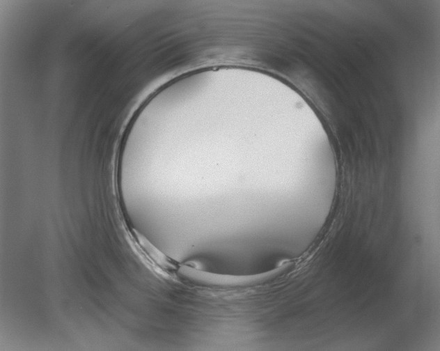 X0000080151246200701051531