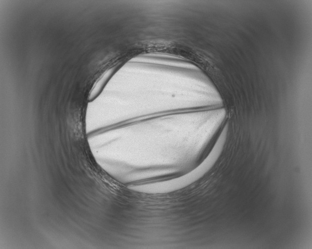 X0000080151252200701051530