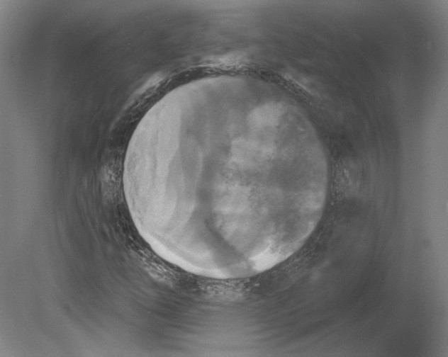 X0000080151254200701051530