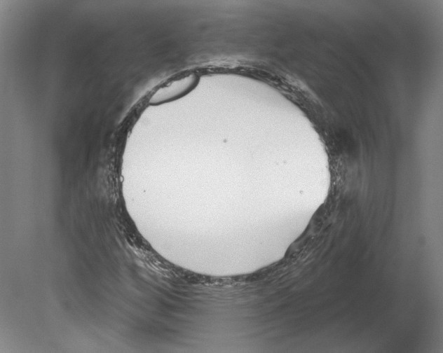 X0000080151256200701051530