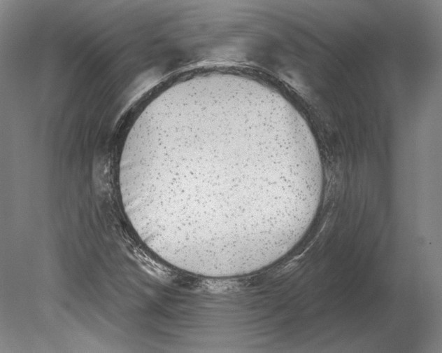 X0000080151258200701051530