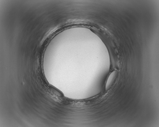 X0000080151261200701051530
