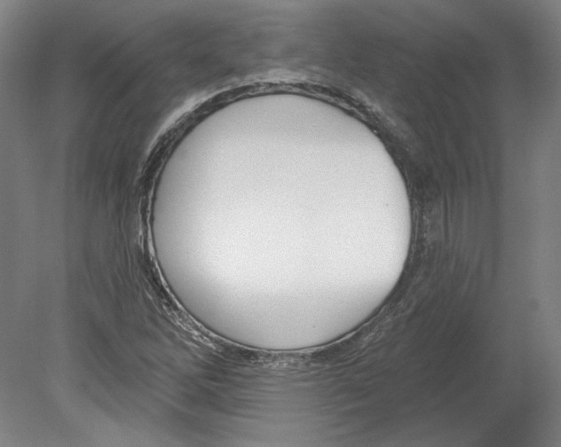 X0000080151262200701051530