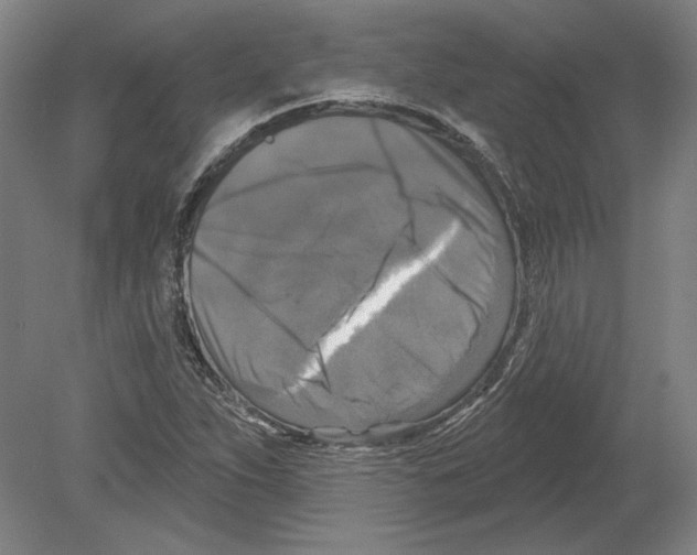 X0000080151263200701051530