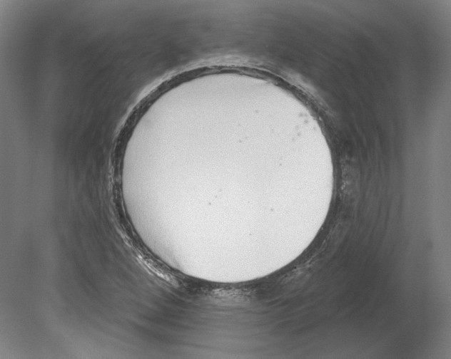 X0000080151264200701051530