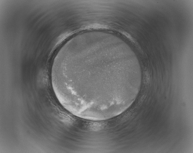 X0000080151266200701051530