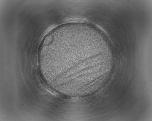 X0000080151267200701051530