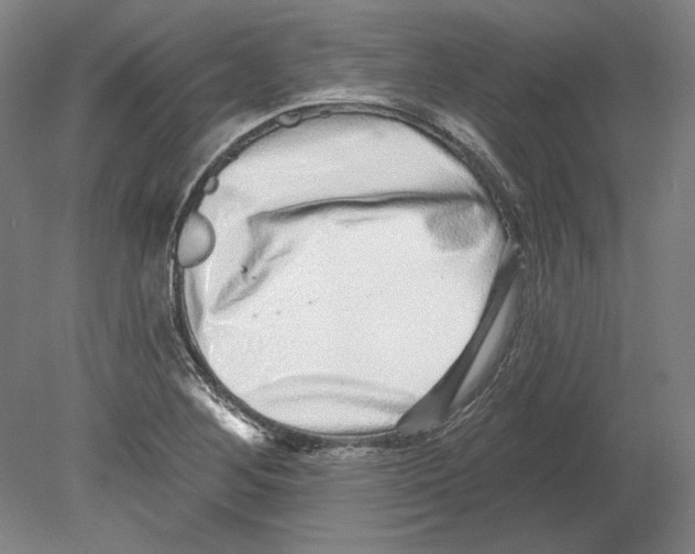 X0000080151268200701051530