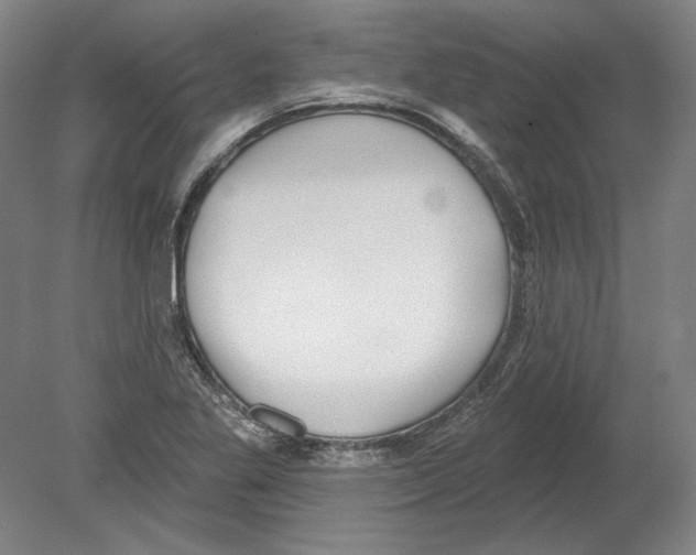 X0000080151269200701051530