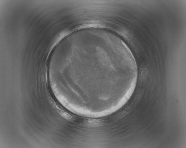X0000080151274200701051530