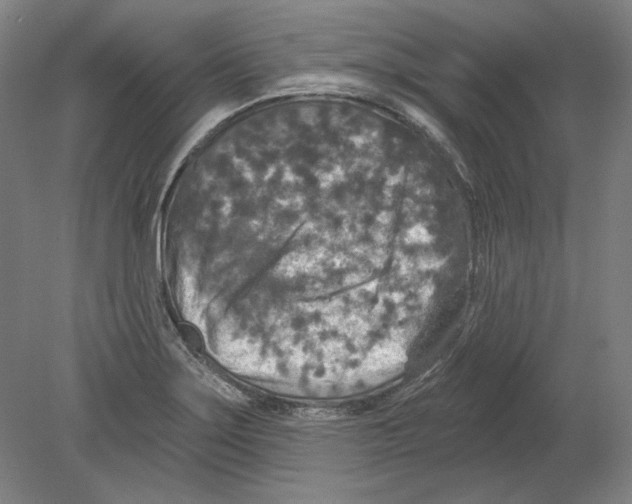 X0000080151275200701051530