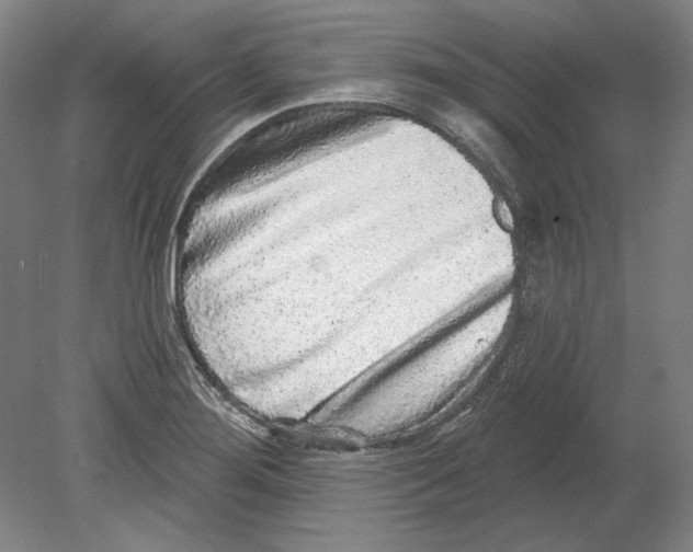 X0000080151276200701051530
