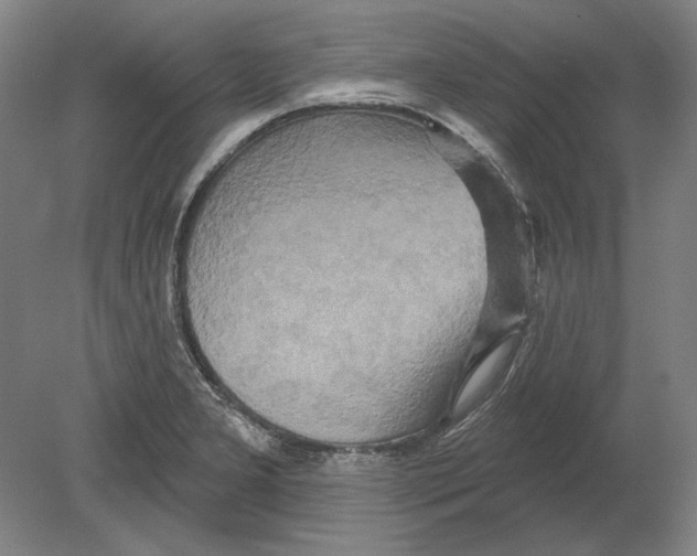 X0000080151277200701051530