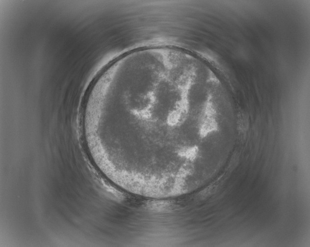 X0000080151278200701051530