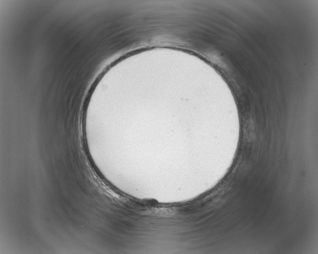X0000080151280200701051530
