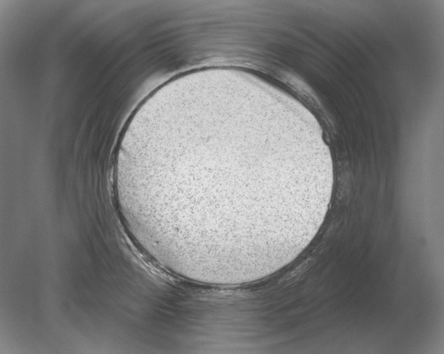 X0000080151284200701051530