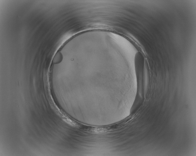 X0000080151291200701051530