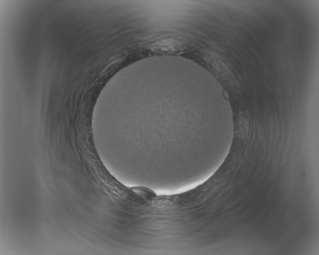 X0000080151297200701051529