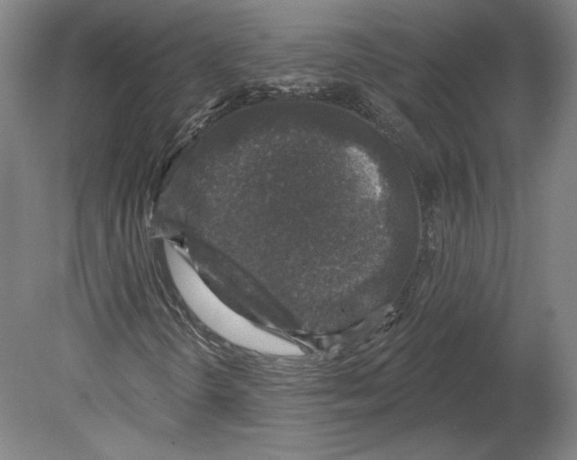 X0000080151298200701051529