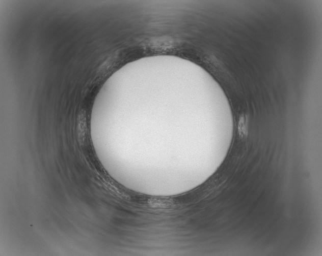 X0000080151299200701051529