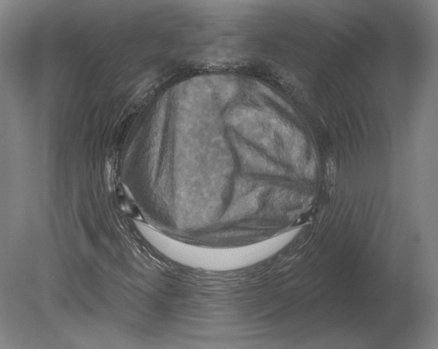X0000080151300200701051529