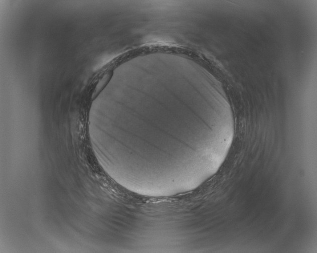 X0000080151303200701051529