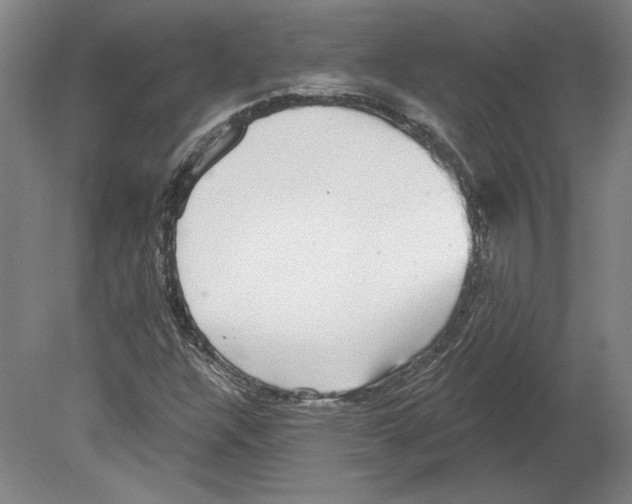 X0000080151304200701051529