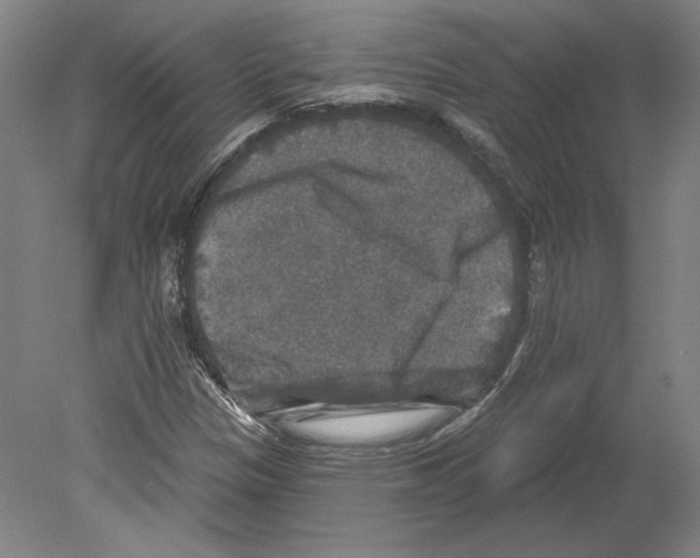 X0000080151305200701051529