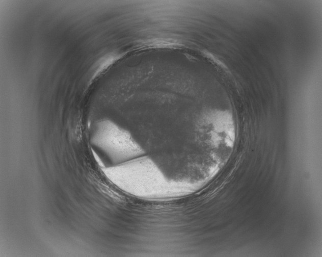 X0000080151306200701051529