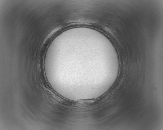 X0000080151307200701051529