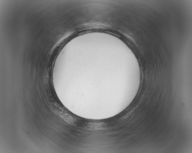 X0000080151309200701051529