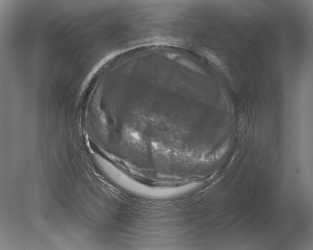 X0000080151310200701051529