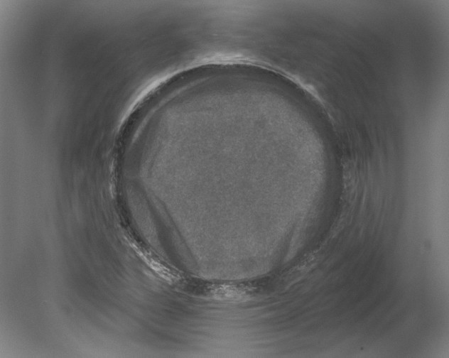 X0000080151311200701051529