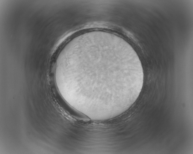 X0000080151312200701051529