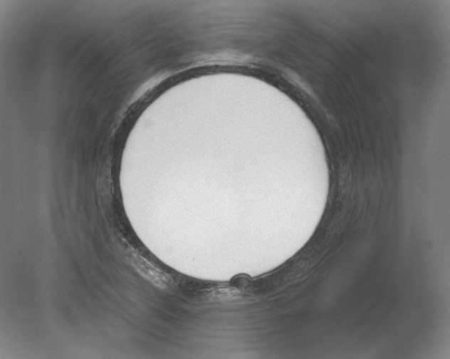 X0000080151315200701051529
