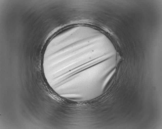 X0000080151316200701051529