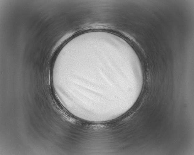 X0000080151317200701051529
