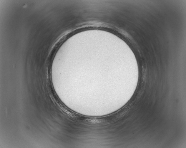 X0000080151318200701051529