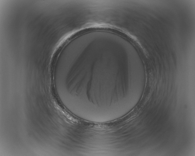 X0000080151319200701051529