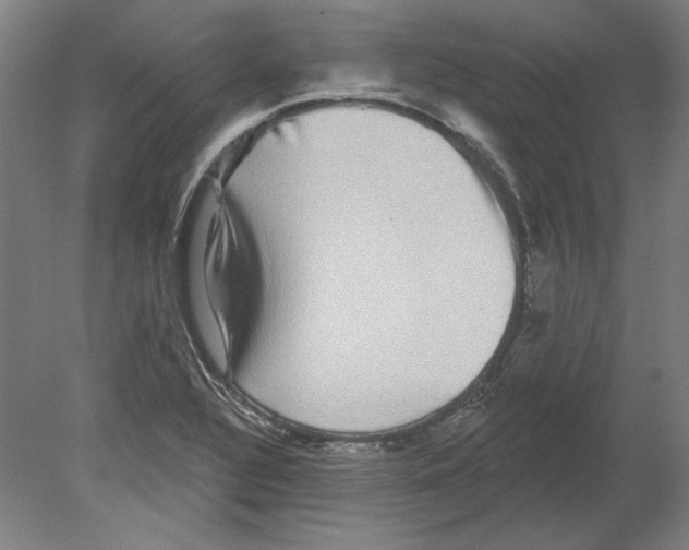 X0000080151320200701051529