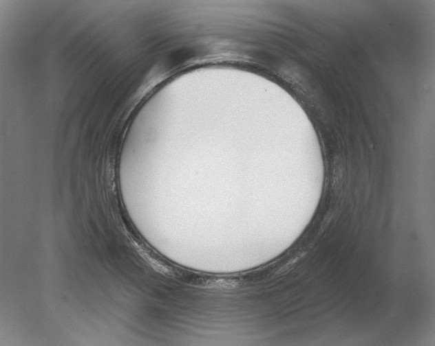 X0000080151321200701051529
