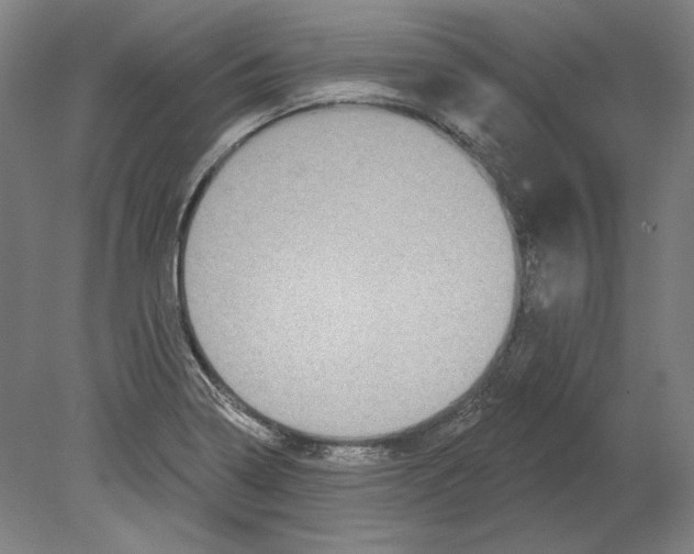 X0000080151322200701051529