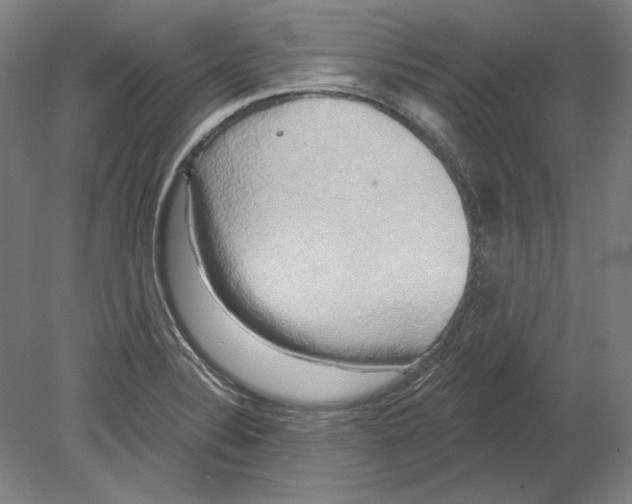 X0000080151324200701051529